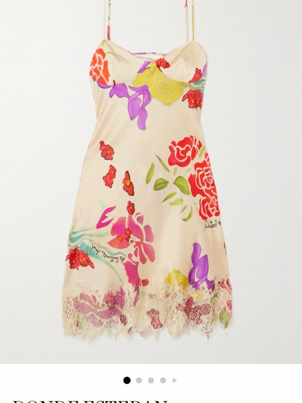 Donde Esteban Flores Lace Trimmer floral print dress - Picture 3 of 8